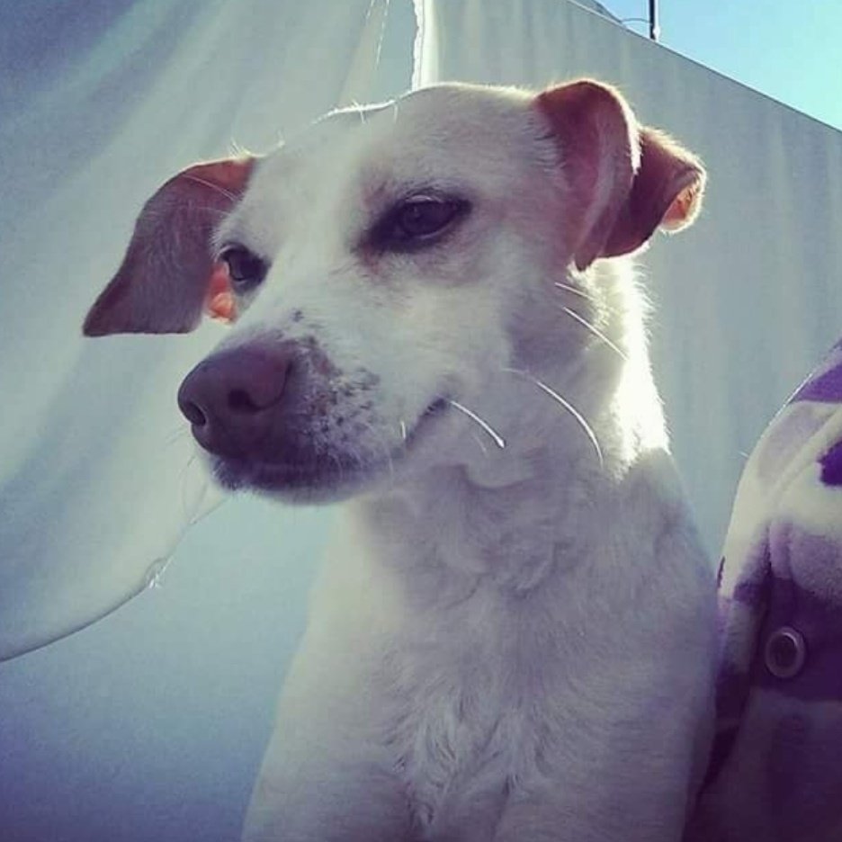 Tamy A+A ⚡🚀 tweet media