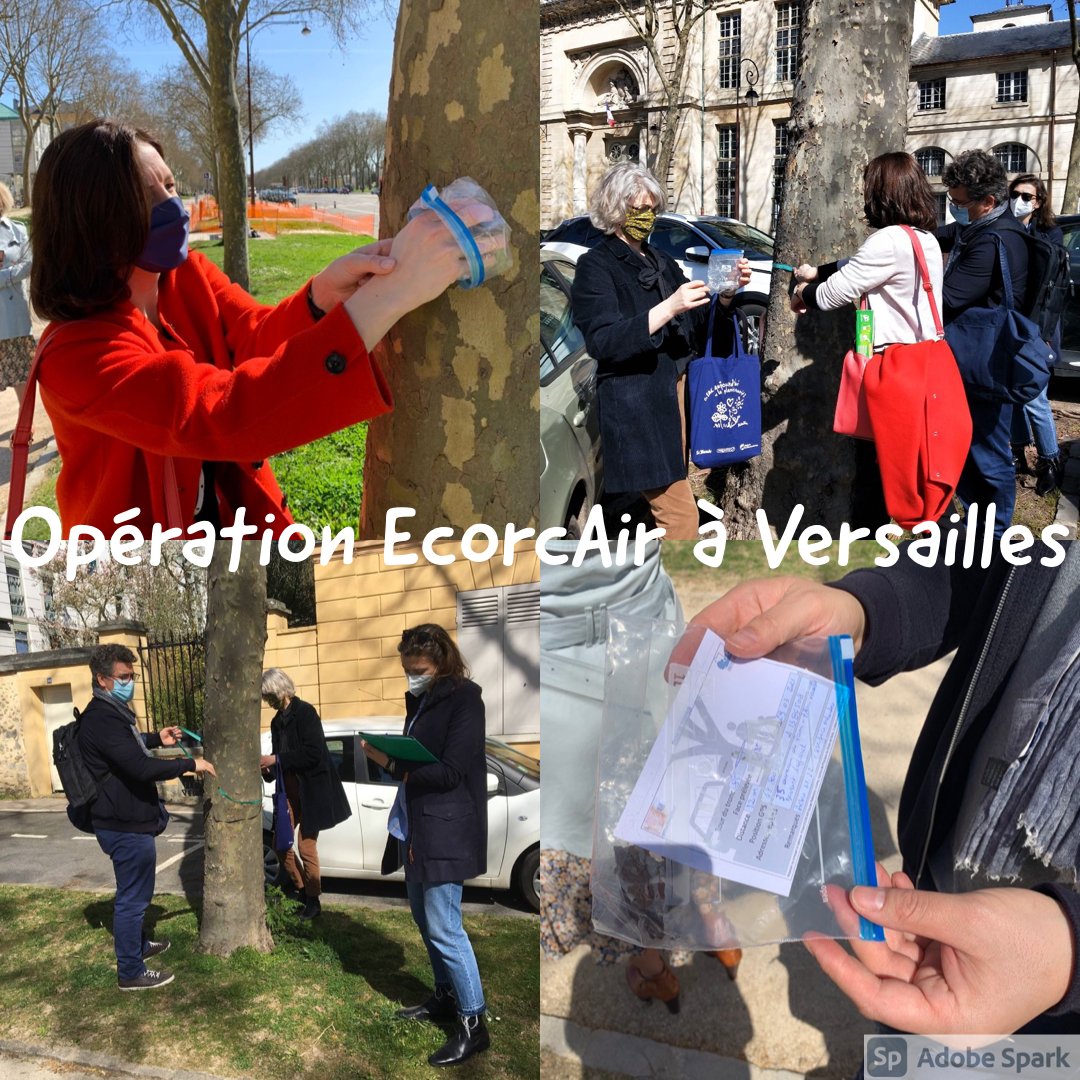 Ensemble Vivons Versailles - Association tweet media