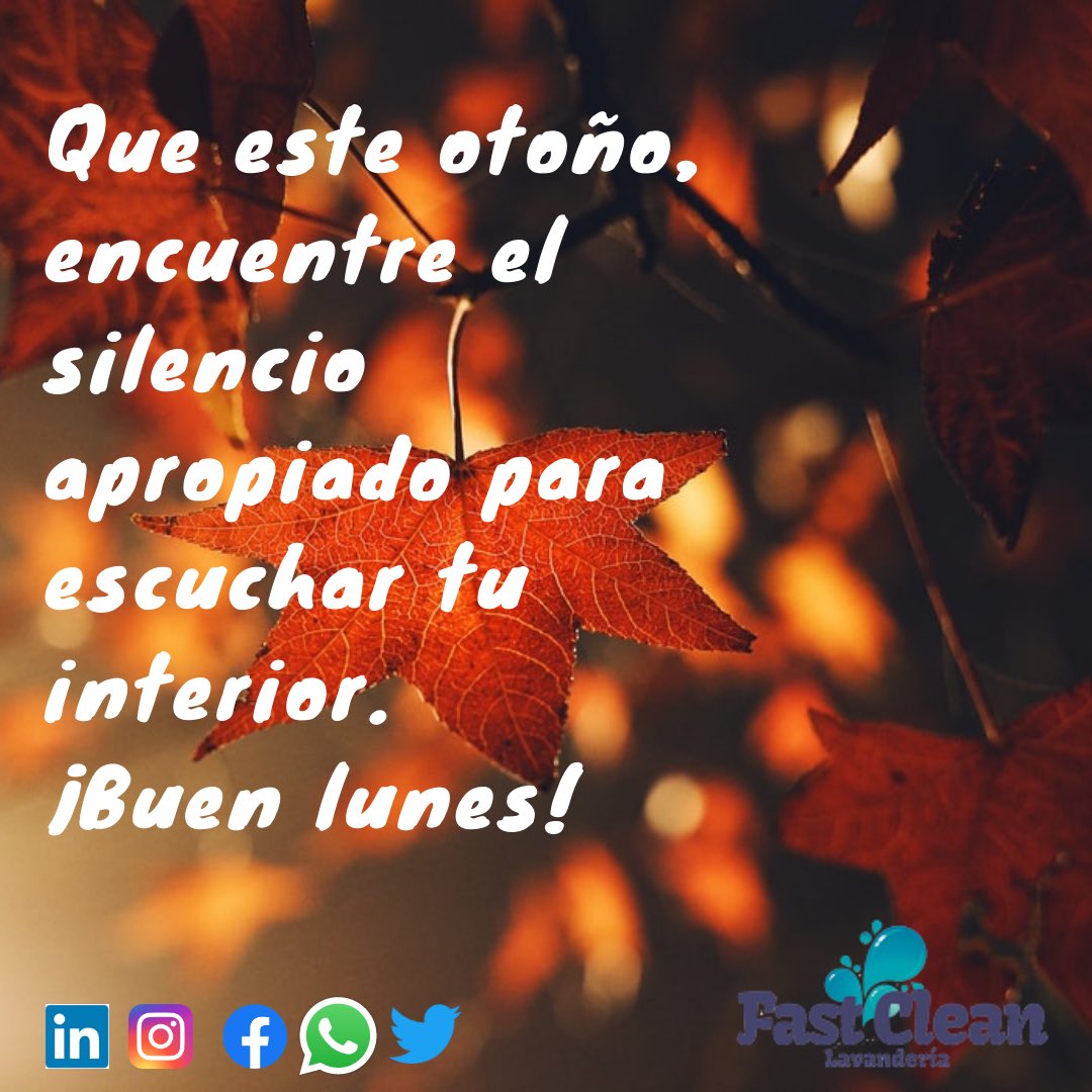FastcleanL's tweet photo. Buen inicio de semana !!!
#buenlunes #sigamoscuidandonos #marzo2021 #ultimasemana #otoño #lavanderiafastclean #despachogratis #chillan #chillanviejo #coihueco #apoyalolocal #prefierelolocal #emprendedoras https://t.co/Bqus2yIXHg