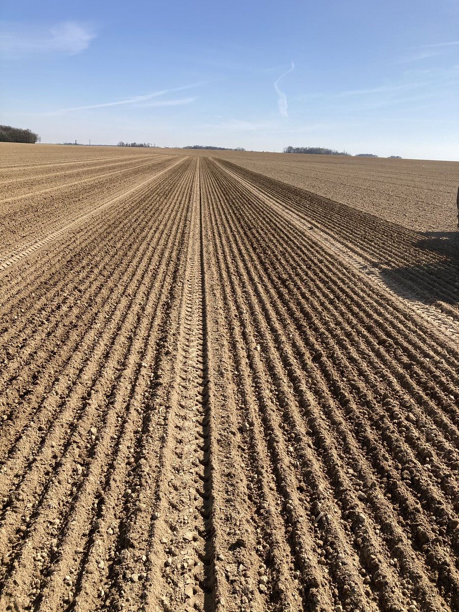 benoit_nmd's tweet photo. C’est parti pour les semis des plateformes de recherche de lin fibre @ArvalisHdF @Arvalisofficiel #EtsDevogele pour le 1er de l’année. Des semis en superbes conditions, de la fraîcheur, du soleil, de la douceur. 👍🏼 
@YFlodrops  @Bluesy27 https://t.co/5lYYMLAXie