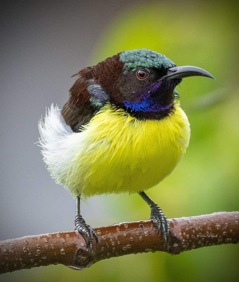 AMBeautifulNat1's tweet image. Beautiful Nature.