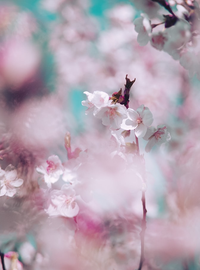 HeraPartnership's tweet photo. Good Morning all! If you fancy learning to do something creative this week, then our spring arts programme has just started. If you want to take part, then please contact Ben on ben@robinhoodhealth.org.
#HERAForYou https://t.co/bjFZwVGbya