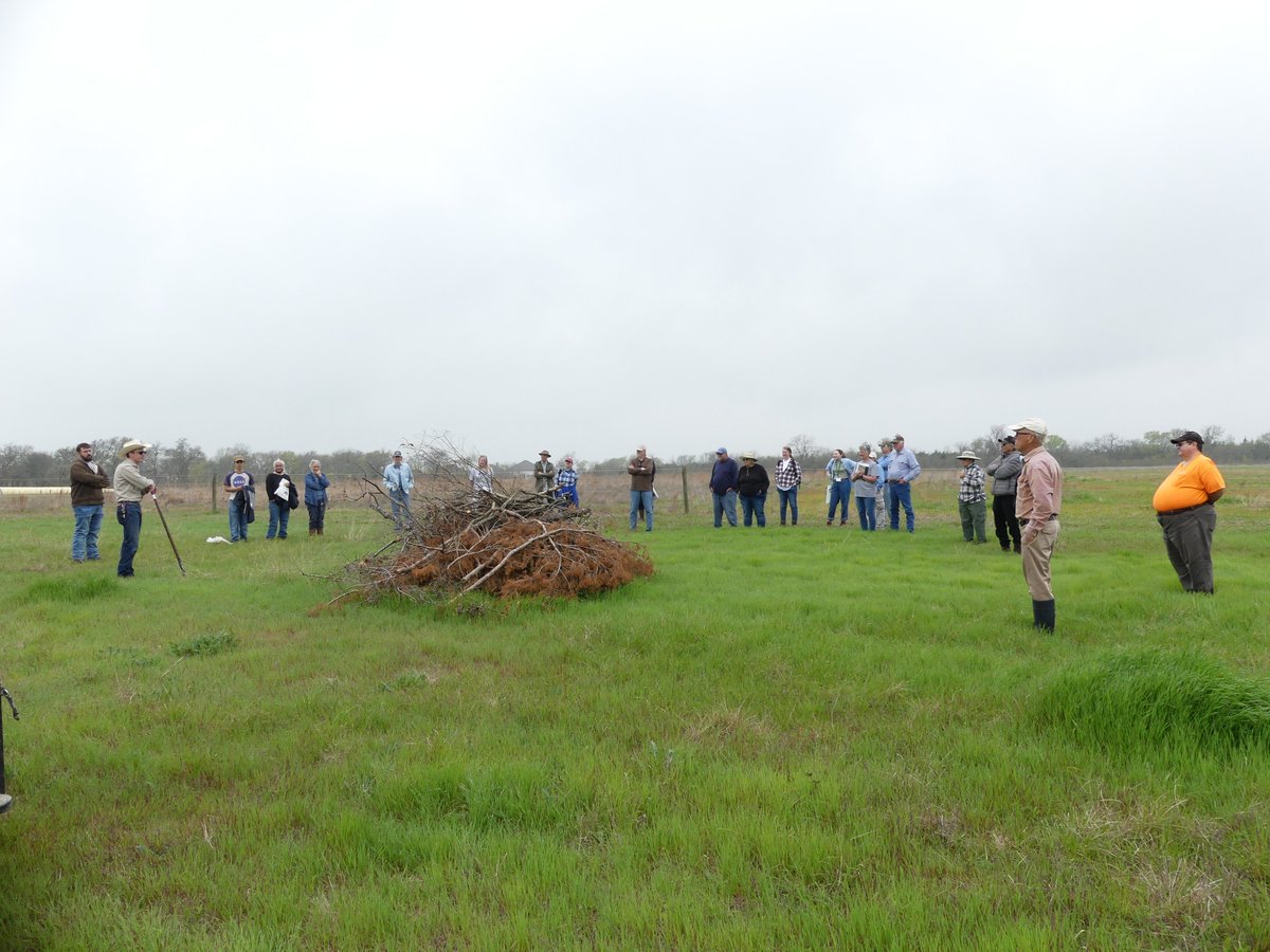 anr_co's tweet photo. Had a great time at our 1st brushpile building & burning demonstration on Sat! We had 24 folks join us in discussing using brushpiles for #wildlife & #quail habitat, #burning regs, #wx forecasts, & some hands-on driptorch time. Photos via T. Patterson. @txextension @ChaseTBrooke1 https://t.co/dGO8NKMXCC