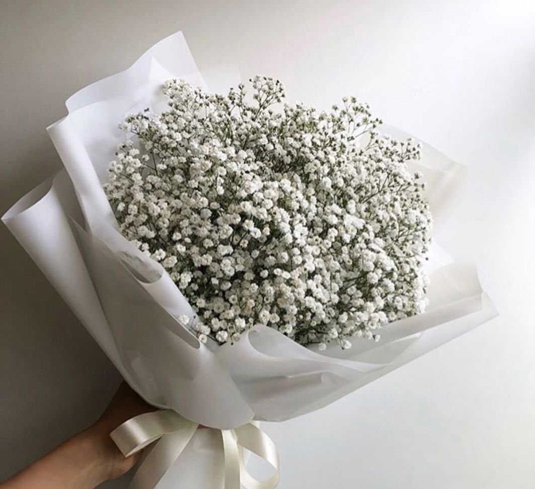 orkedkuningg's tweet photo. RT for tulips 🌷     Like for baby breath🌸 https://t.co/9ED6ZXTzns