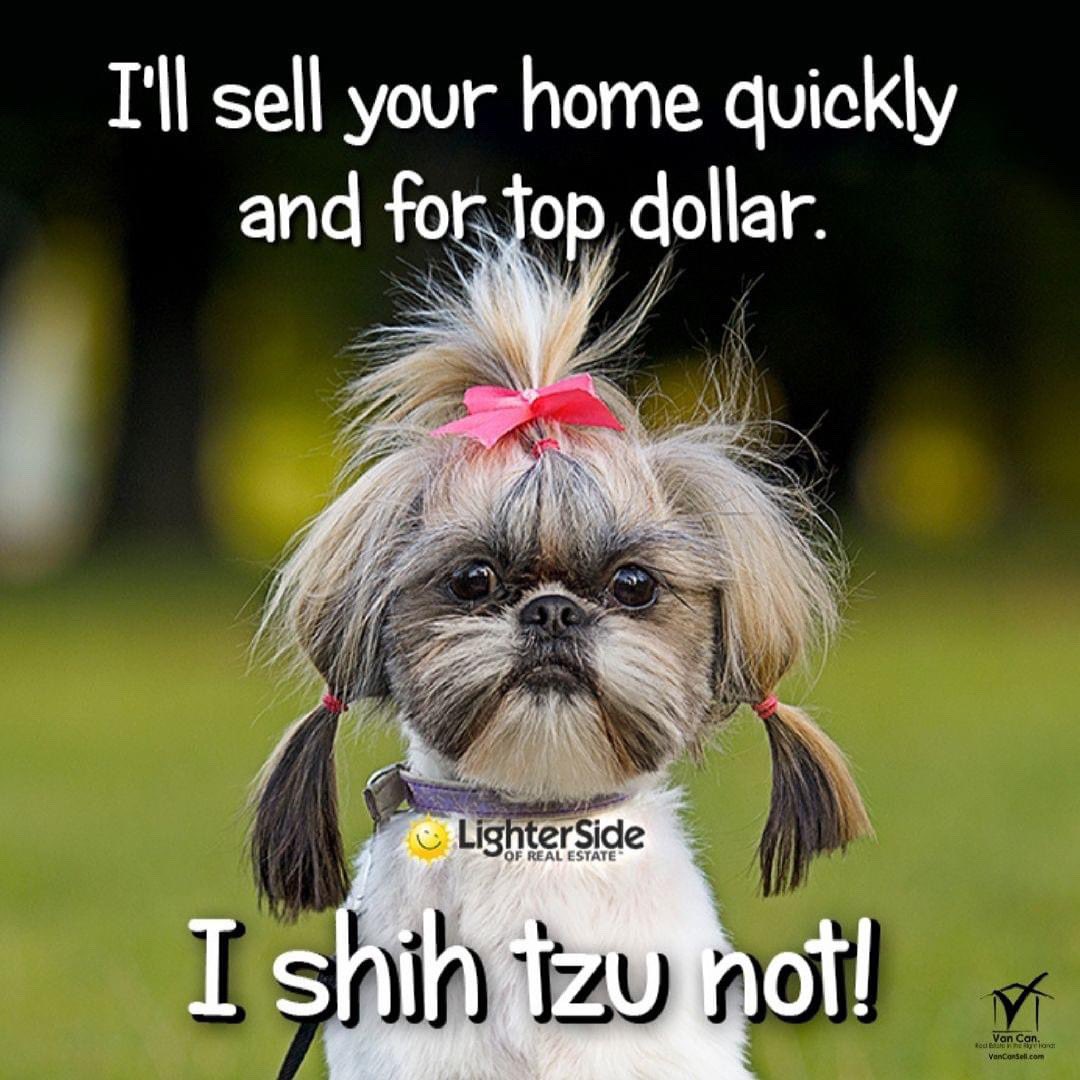 vanamey's tweet photo. 3️⃣1️⃣ offers = 3️⃣ listings under contract < 1️⃣ week = 3️⃣ happy sellers!! And all have backup offers! That's an equation I love!!  Call me if you're ready to sell!!
#VanCan4Real #vanflemingrealestate #vancansellyours #shihtzunot #meybohmrealestate #meybohmistheplacetobe https://t.co/3RdXQsLeZW