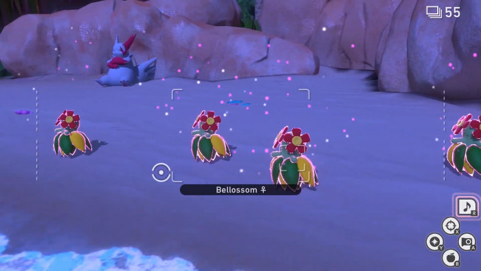 ポケモンメモ Pokemon Memo Timeline The Visualized Twitter Analytics