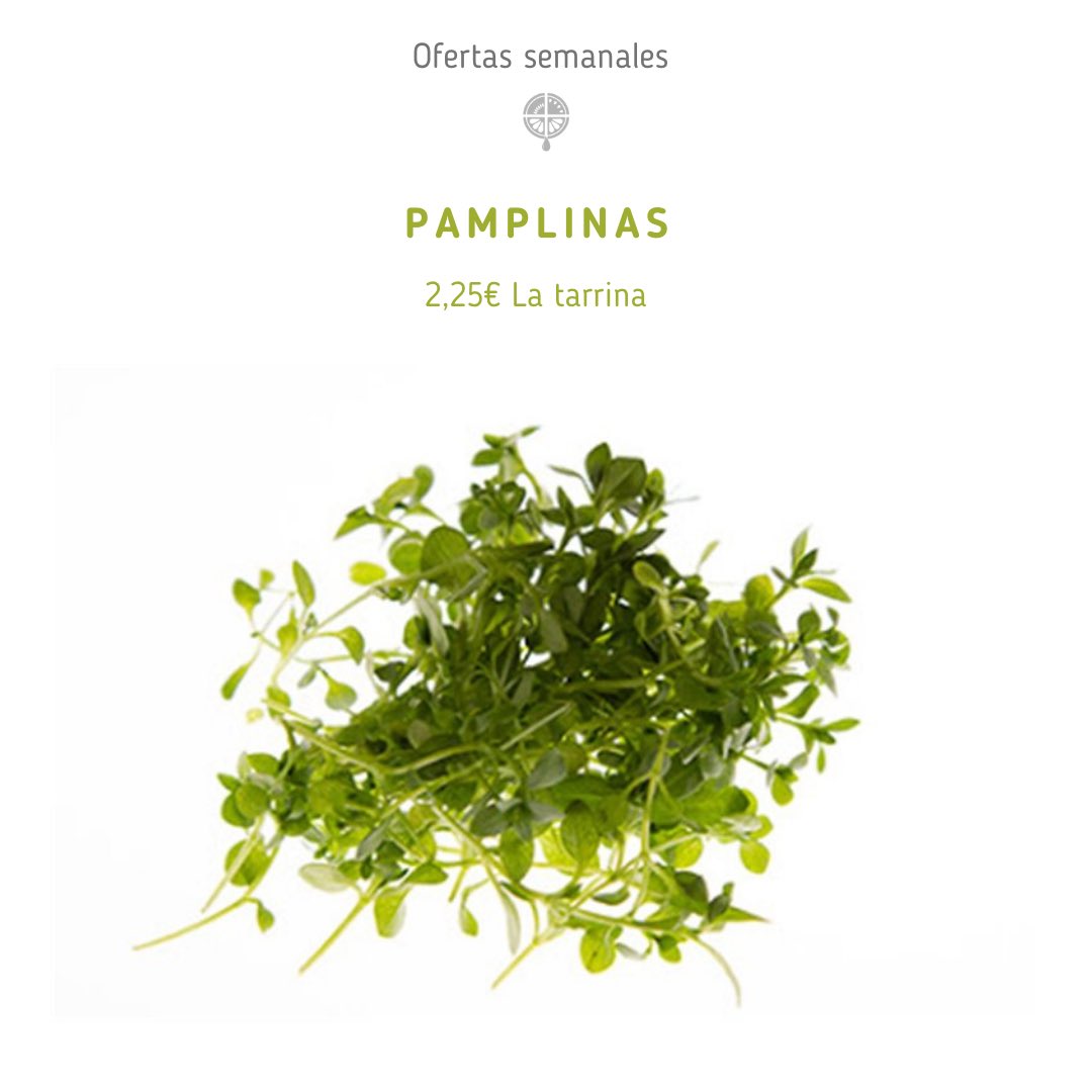 nectarfruit's tweet photo. 📢 OFERTAS SEMANALES Nectarfruit:
*FRESÓN DE HUELVA - 2,95€ la caja de 2kg.
*PIÑA EXTRA “DEL MONTE” - 3,75€ la pieza.
*PAMPLINAS - 2,25€ la tarrina.
*MANZANA GOLDEN PERLIM ROSSE - 1,85€ el kg.
*ESPINACA FRESCA - 0,79€ la bolsa de 300g. https://t.co/jrzV25NVgf