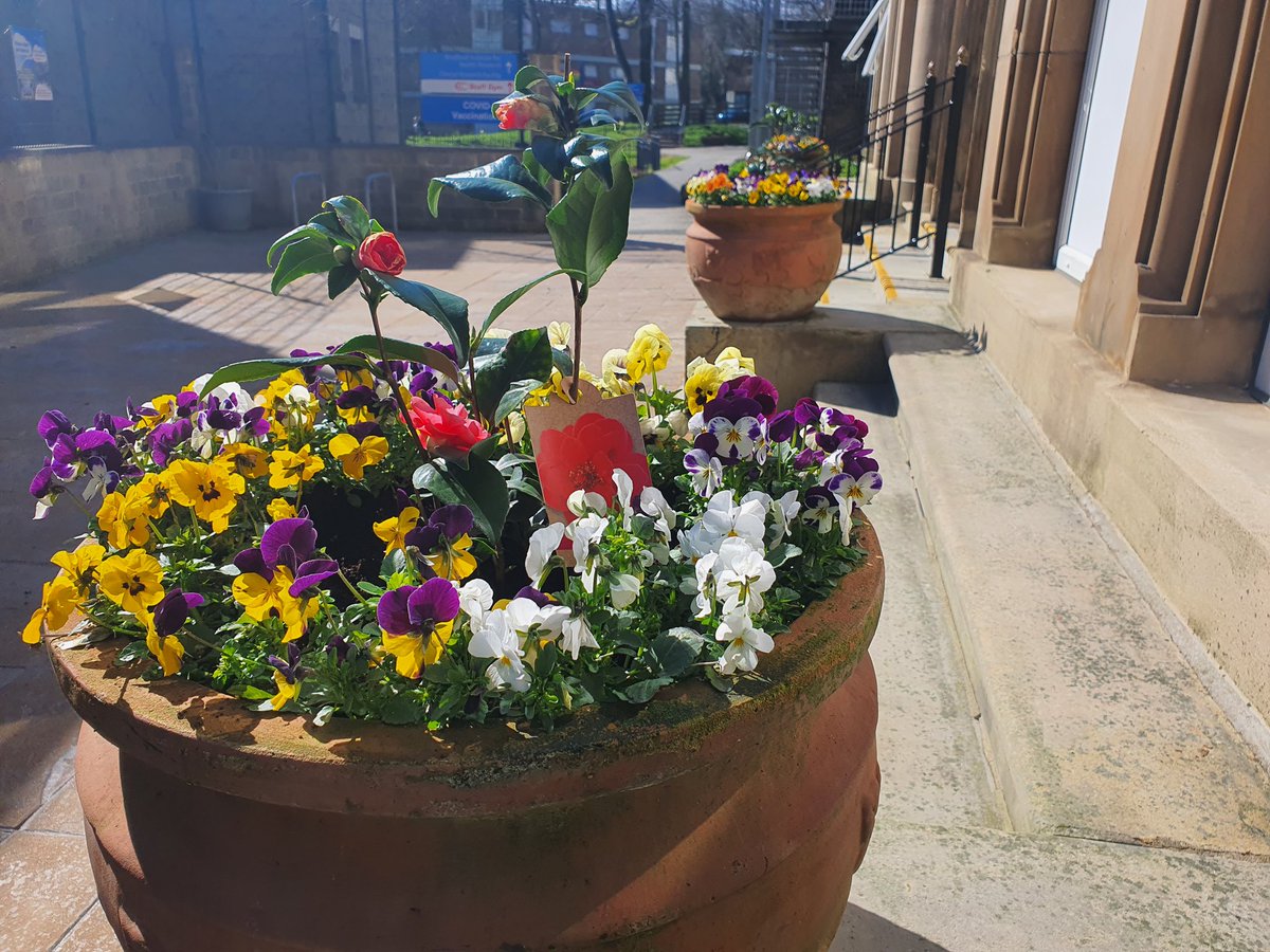 1johnholden's tweet photo. Spring has sprung @bthft and thanks to our fab @BTHFT_EFandCE gardeners (Craig &amp; Chris &amp; co.) we have so much to enjoy ... https://t.co/wupePNpC7j