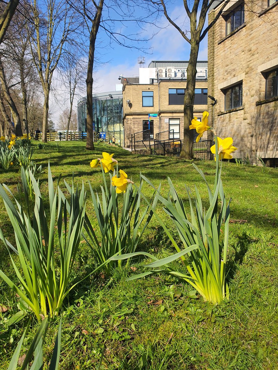 1johnholden's tweet photo. Spring has sprung @bthft and thanks to our fab @BTHFT_EFandCE gardeners (Craig &amp; Chris &amp; co.) we have so much to enjoy ... https://t.co/wupePNpC7j