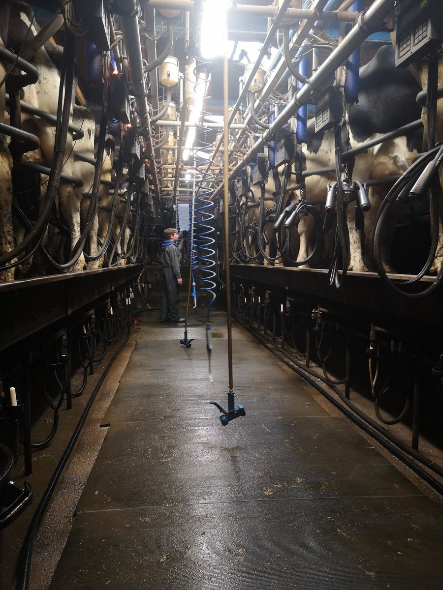 traceyroan's tweet photo. I'll just have a rest and let the next generation get on with it.

#easterholidays #nextgeneration #teamdairy #colvendholsteins https://t.co/AbsMT6KFAa