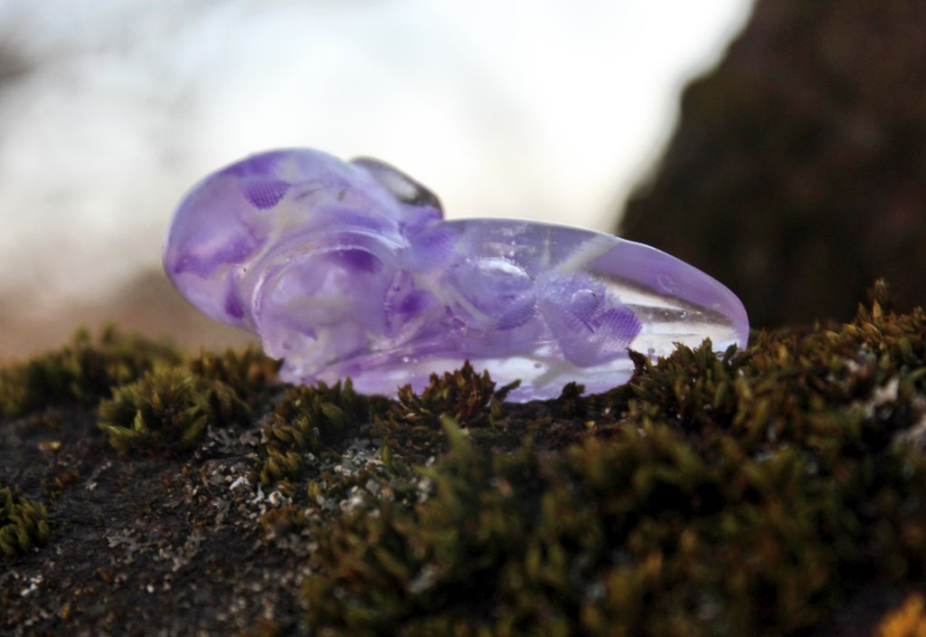 pouring_art's tweet photo. CN skulls

mini raven skulls as pendant for necklaces and keychaines. 

___
#art #artist #artistsontwitter #resin #resinart #witchy #witch #skull #raven https://t.co/rGQ8yxlWzZ