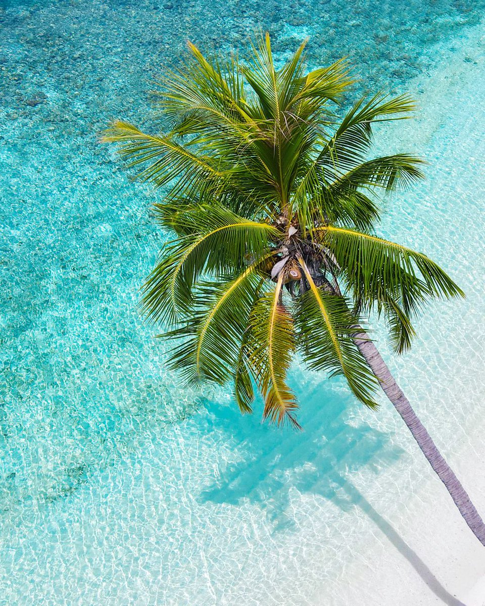 hideaway_beach's tweet photo. Sharing a dose of paradise from #MaldivesHideaway on your feed.
#myHideaway https://t.co/BFs3u5WM45