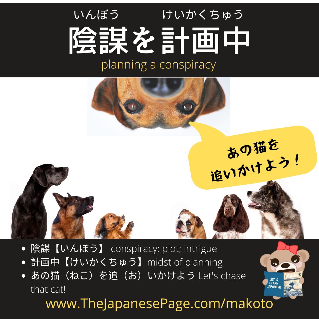 TheJapanShop's tweet photo. 陰謀を計画中 inbou o keikakuchuu
In the midst of planning a conspiracy...
We are busy getting the next Makoto issue out (tonight!), but I'll try to post more with sound in the near future.
#japanesestudygram #learnjapanese #learnnihongo #learningjapanese #hiragana #kanji https://t.co/Y0DCnvNuyz