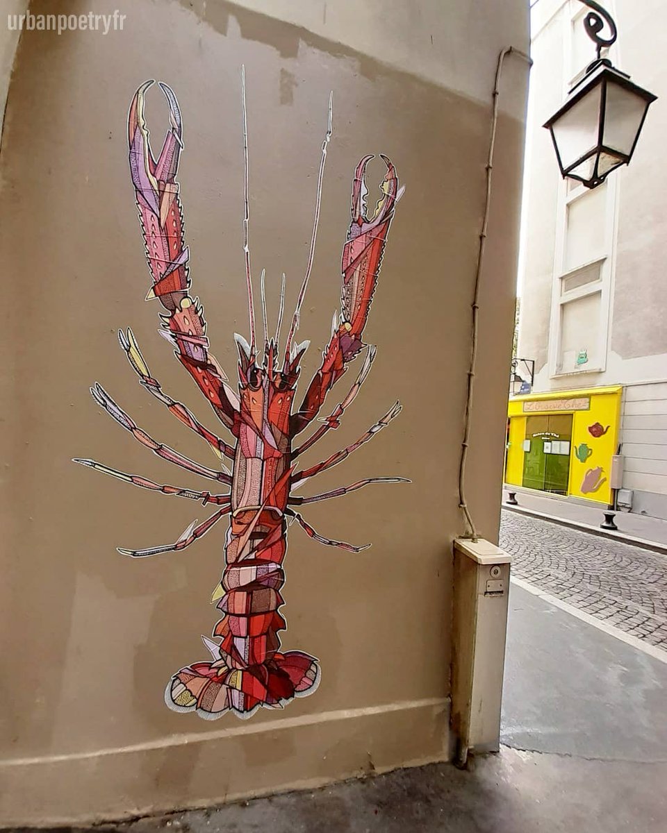 UrbanPoetryfr's tweet photo. #Teuthis nous a régalé l'été dernier dans le quartier de la #butteauxcailles #paris #StreetArt https://t.co/wpOBdlVtlH