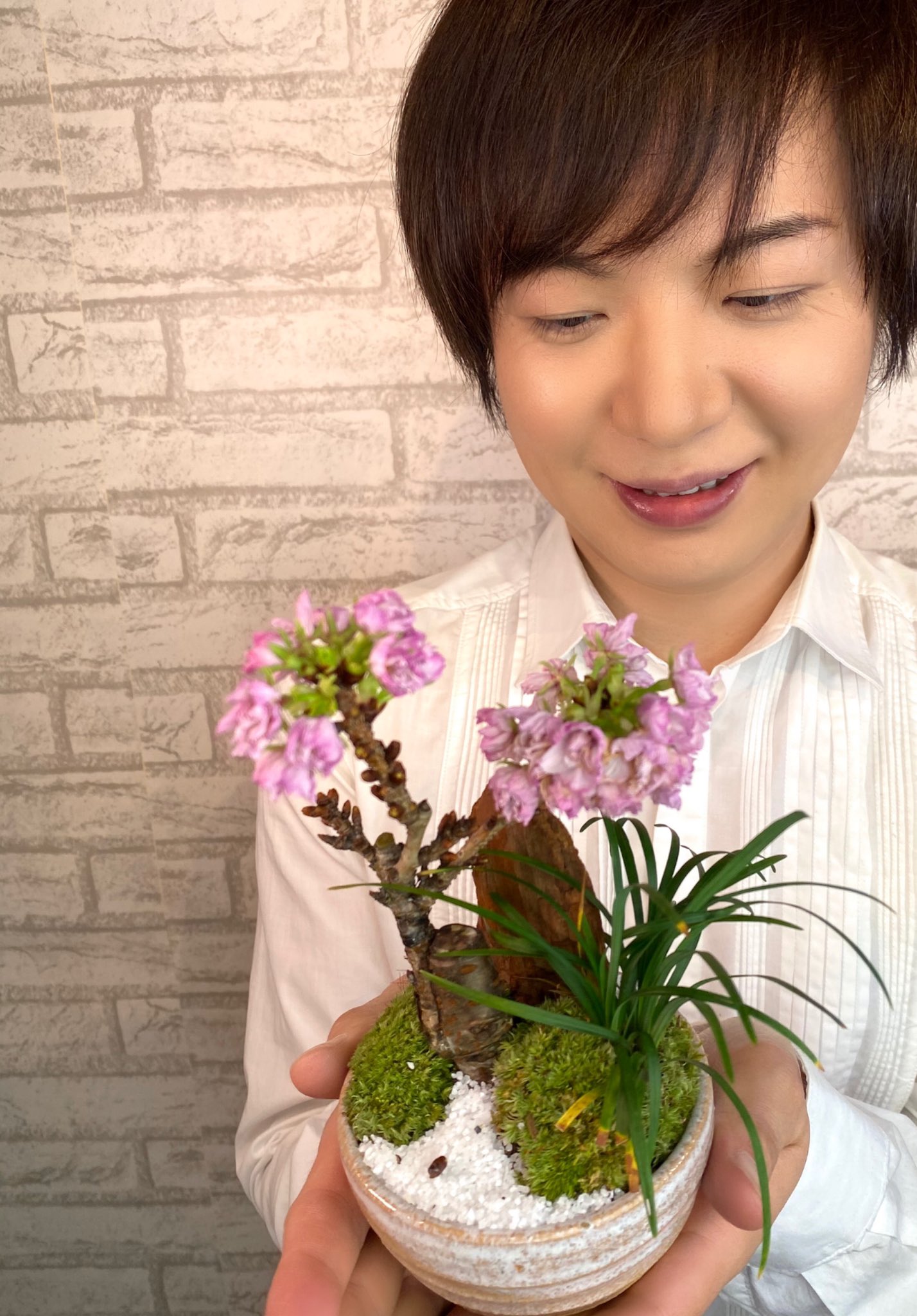 竹島宏スタッフ 公式 旭山桜 桜全体の花言葉は 精神の美 桜の盆栽が届きました 届いたときはかたい蕾 のんびり 育てきれいに花ひらきました 今日も１日お疲れ様でした ひろネット 花言葉 花便り 花 旭山桜 花を贈ろう 花のある暮らし