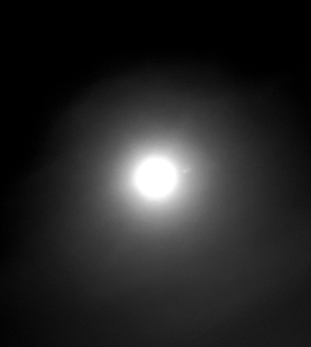Earthmoon36's tweet photo. 【#재운】
오늘은 보름달🌕한국에서도 볼 수 있나요？
어떤 나라의 보름달이 Instagram에 올라와 있었어💫
꿈？현실？이라고 적혀있었어🥺
난 꿈 🌛✨ 가 좋아~🥰 
당신의 꿈은 변하지 않았나요？
부디 이루어지길 ✨
보름달을 보면서 소원을 빌어요🍀💗
안녕히 주무세요 💤🎠💤
#ARGON #한재운 https://t.co/DKNLM6eV6i