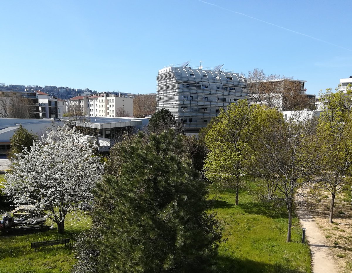 MeteoLyon07's tweet photo. Le printemps, c'est parti ! #Lyon #ENSL https://t.co/VRgufUlo2o