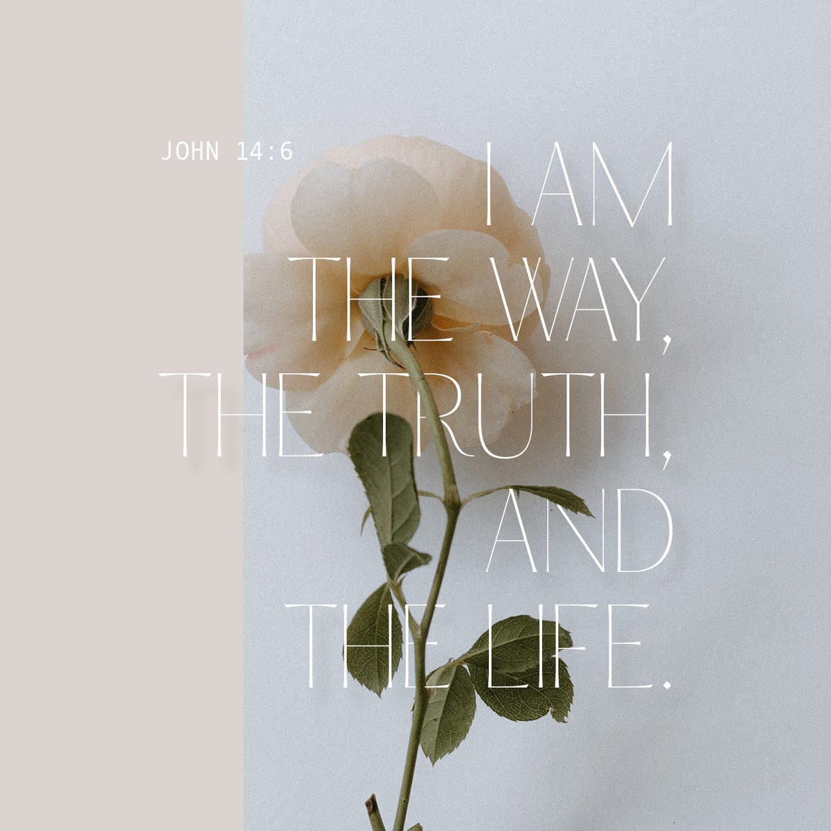 ChristineLGeorg's tweet photo. Jesus said to him, “I am the way, the truth, and the life. No one comes to the Father except through Me.
John 14:6 NKJV

https://t.co/6wk5B14H9k https://t.co/X9mzdZaN5M