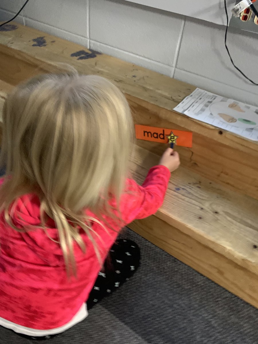 Lindsey VanMaldegiam tweet media