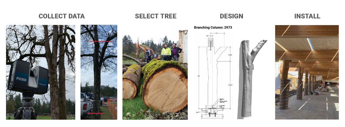 WholeTrees's tweet photo. Will we "see" you at the 2021 Mass Timber Conference? - https://t.co/6zO2KJCaGi https://t.co/L4hppBlUXE