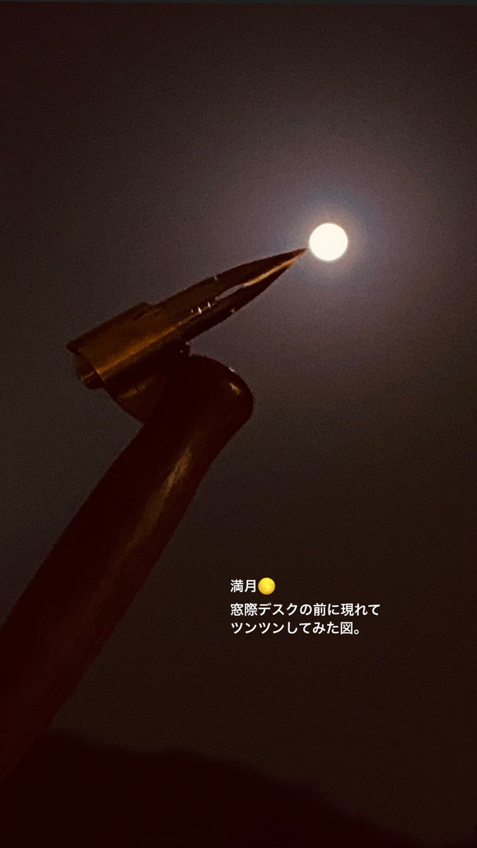 attache_junko's tweet photo. 満月ですね〜🌕 https://t.co/322RtBPhtV