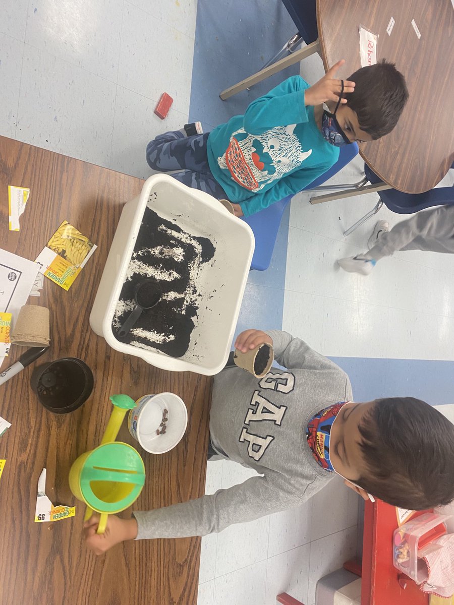 qudsia40's tweet photo. ⁦@MillersKinder⁩ We are planting our spring plants!!! https://t.co/GeIaHCcdAz