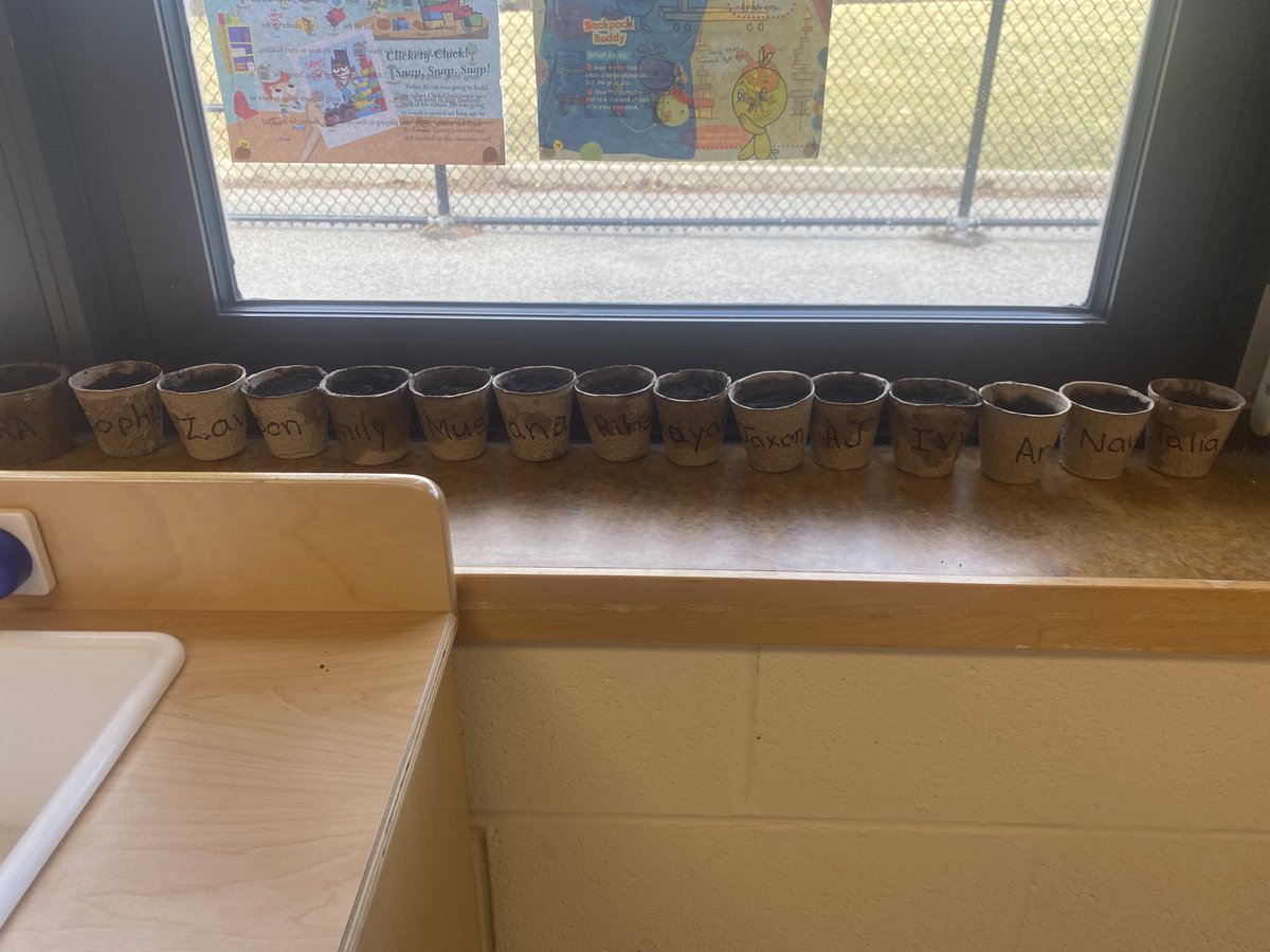 qudsia40's tweet photo. ⁦@MillersKinder⁩ We planted seeds today!! https://t.co/rH3GztNgNT