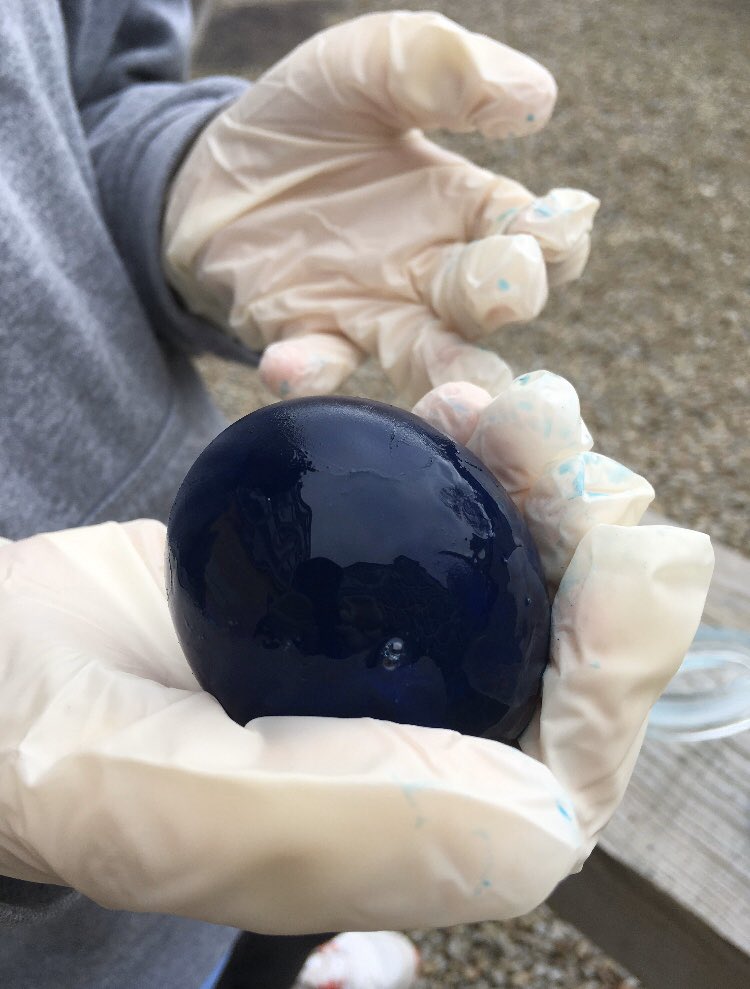 aceschools1's tweet photo. St Austell: creating osmosis experiments using different acidic liquids, eggs and golden syrup. We dissolved the raw egg’s shell using vinegar and expanded the eggs through osmosis. We then shrunk the eggs using the same process and golden syrup. Finally we made blue, bouncy eggs https://t.co/7EU2EV2gCb