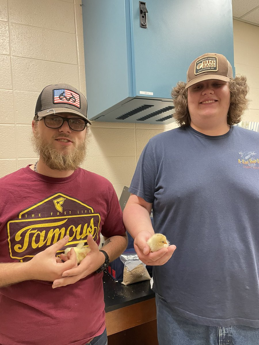 Congrats to Animal Systems for a successful hatch! Stay tuned for chicken training! @FCCollegeCareer <a href="/DrJoshLowe/">Dr. Josh Lowe</a> <a href="/Otwell_MS/">Otwell MS</a>