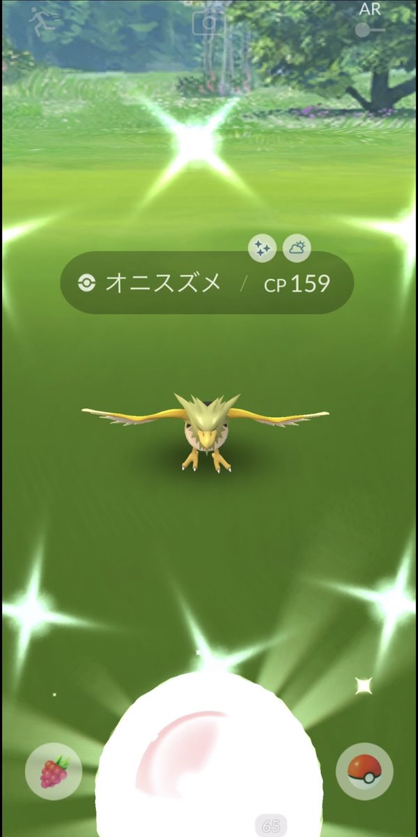 オニスズメ色違い
