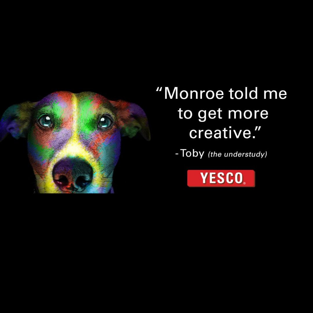 MonroeBillboard's tweet photo. Hey folks! It’s Toby. I think my good friend Monroe will be back next week. But I’m just here to tell you that 85% of people who see a billboard, noticed the ad message*.

(*data provided by https://t.co/sypaiWJL4J) https://t.co/1Fk9oVf7gS