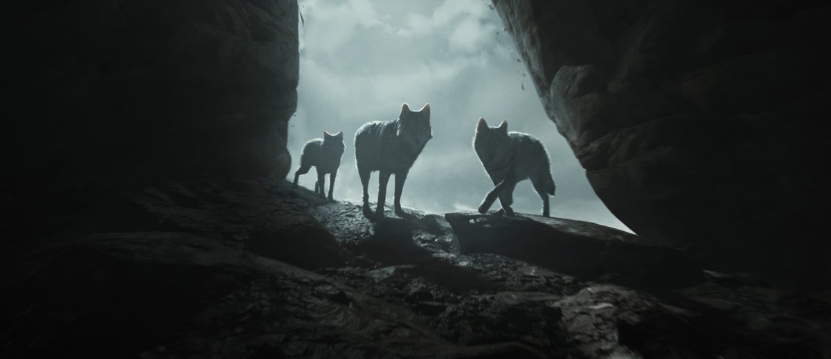 some quick keyframes i did about those 2 tracking the bandits, I guess no rest for them :)
you can see more on my artstation page
#conceptart #Blender3d  #art #darkart