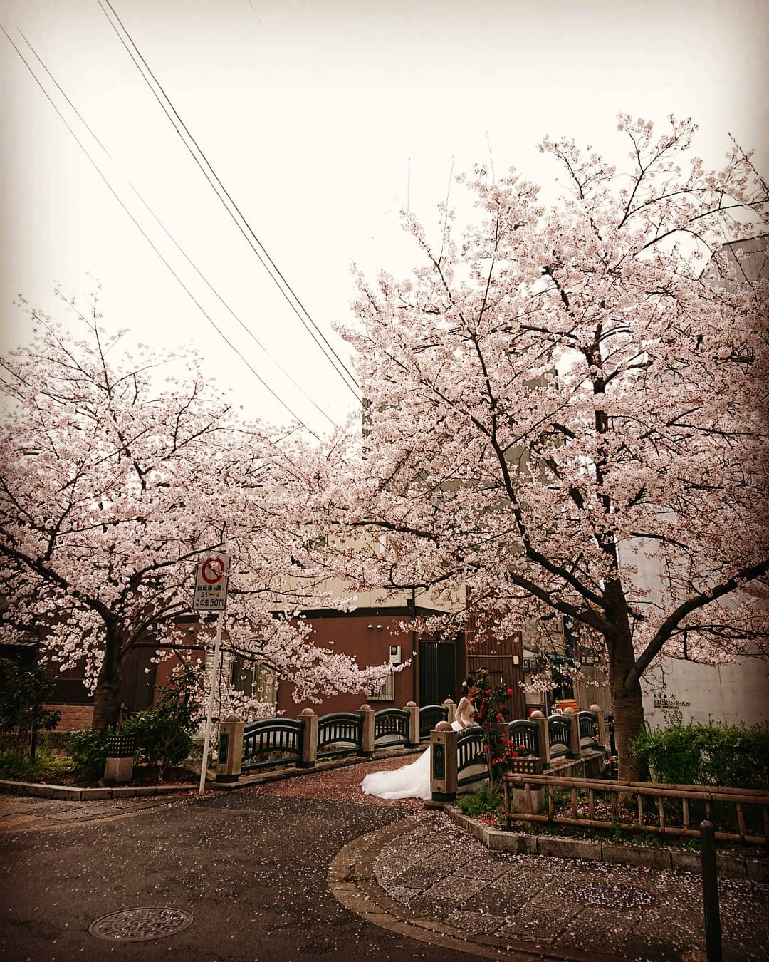 京の宿en Kyonoyado En Kyonoyado Twitter