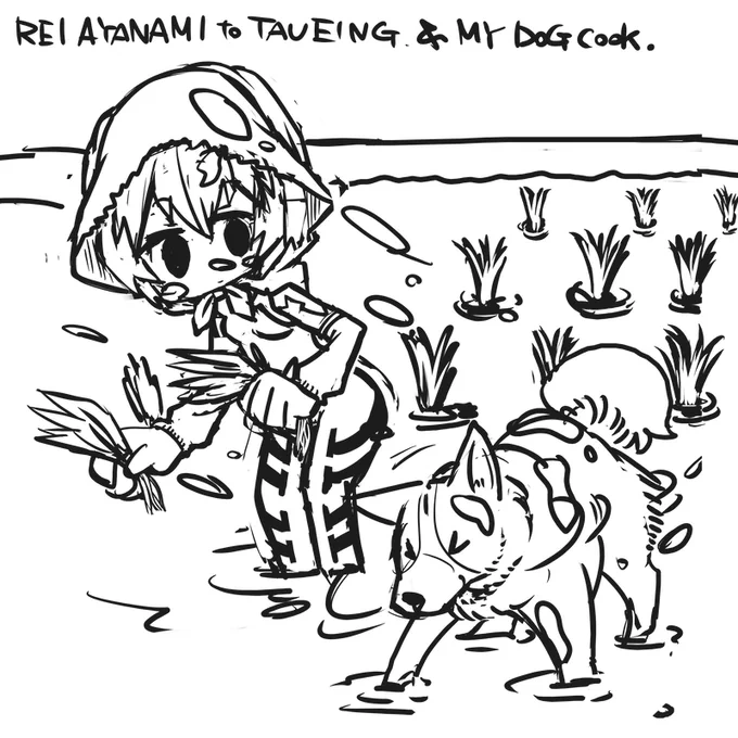 かくぞ(かきたい) 