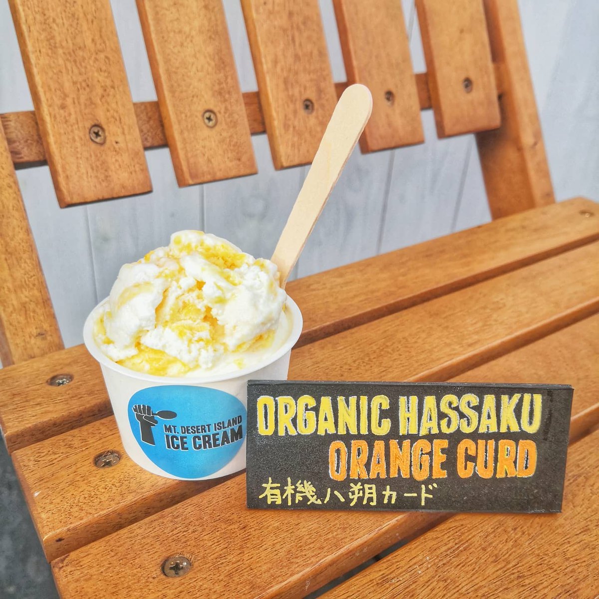 Our newest flavor today at our Matsumoto location: Organic Hassaku Orange Curd. Oranges courtesy of 瀬戸内グローバルアカデミー - Setouchi Global Academy (<a href="/aust_sga/">瀬戸内グローバルアカデミー - Setouchi Global Academy</a>). What is special about this, is Setouchi is an academic partner with @collegeatlantic!   #matsumoto #barharbormaine