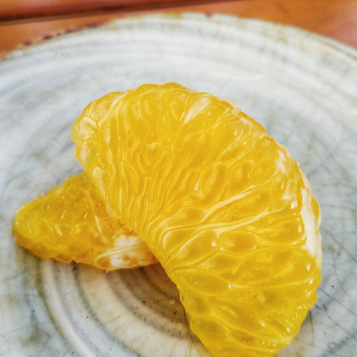 mdiicecream's tweet photo. Our newest flavor today at our Matsumoto location: Organic Hassaku Orange Curd. Oranges courtesy of 瀬戸内グローバルアカデミー - Setouchi Global Academy (@aust_sga). What is special about this, is Setouchi is an academic partner with @collegeatlantic!   #matsumoto #barharbormaine https://t.co/awVgitLkbi