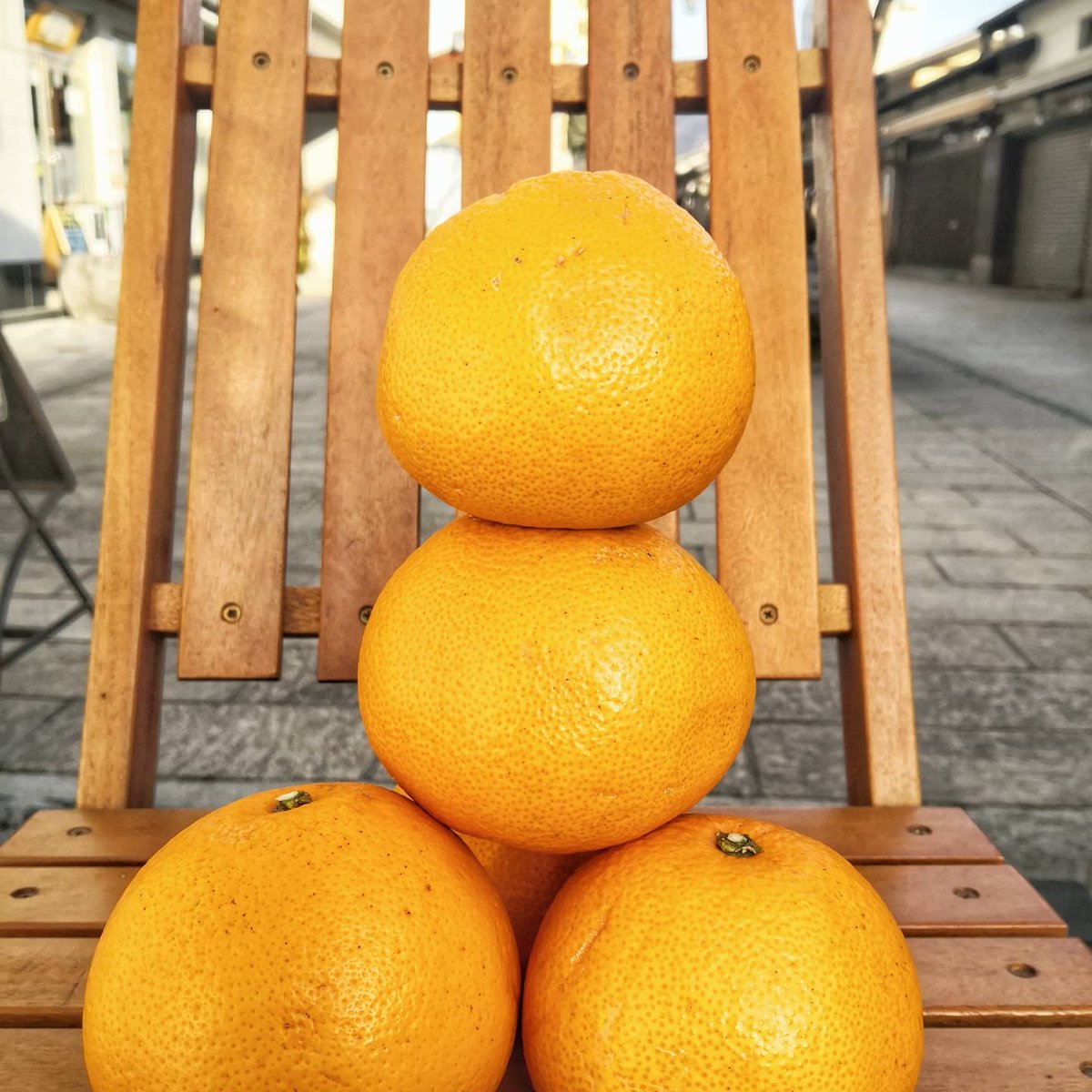 mdiicecream's tweet photo. Our newest flavor today at our Matsumoto location: Organic Hassaku Orange Curd. Oranges courtesy of 瀬戸内グローバルアカデミー - Setouchi Global Academy (@aust_sga). What is special about this, is Setouchi is an academic partner with @collegeatlantic!   #matsumoto #barharbormaine https://t.co/awVgitLkbi