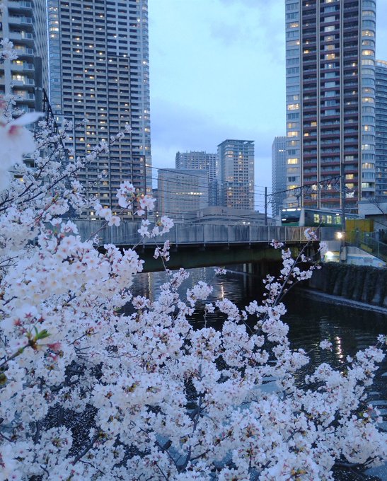 Twitterのコスプレ画像43