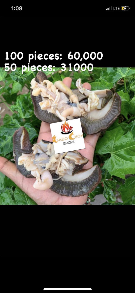 AsadoChow's tweet photo. For wholesalers and General snail lovers https://t.co/qa1zBvYnB8