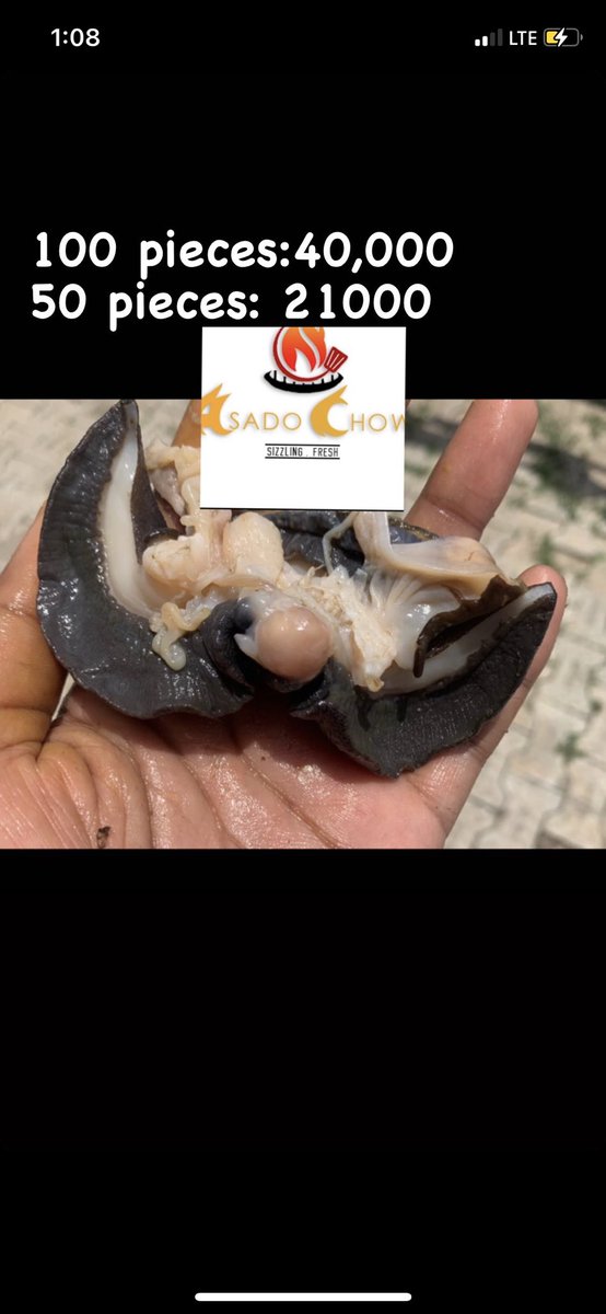 AsadoChow's tweet photo. For wholesalers and General snail lovers https://t.co/qa1zBvYnB8