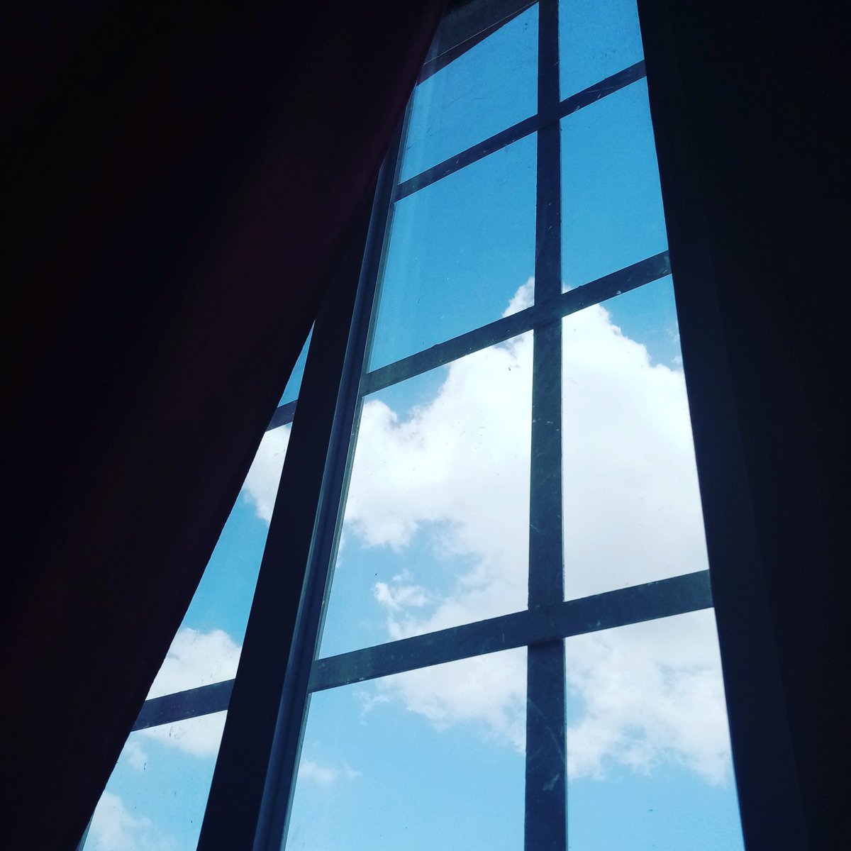migranitodefe's tweet photo. Y si miramos el cielo de frente, no a través de una ventana.
Pidamos sabiduría y fortaleza para tomar aquellos senderos que nos acercan más a nuestras metas. 
¡Bonito lunes!🌹
#MiGranitoDeFe https://t.co/bGksSYfnhd