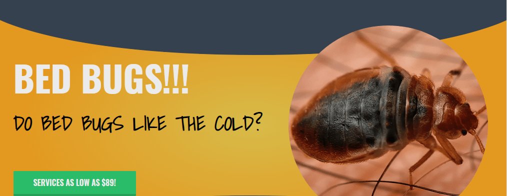 EcoFusionIPM's tweet photo. Do bed bugs like the winter cold?

Bed bugs can tolerance the cold. bed bugs can remain active at temperatures as low as 46 degrees Fahrenheit, they can survive at even lower temperatures but just for a short amount of time. 

Read here: https://t.co/c2gmSPozVH 

#pestcontrol https://t.co/RTxtB1K2TC