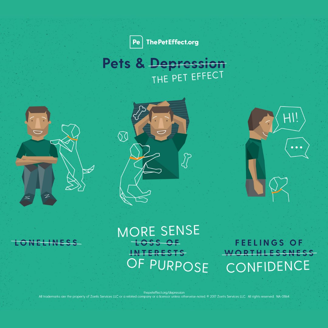 HABRITweets's tweet photo. Our pets are there for us when we’re feeling lonely or depressed. Research shows that caring for a pet, from regular feedings, trips to the veterinarian and walks can help  reduce feelings of loneliness, and give us a sense of purpose &amp; confidence. #ThePetEffect . https://t.co/rWw0SZdhm6