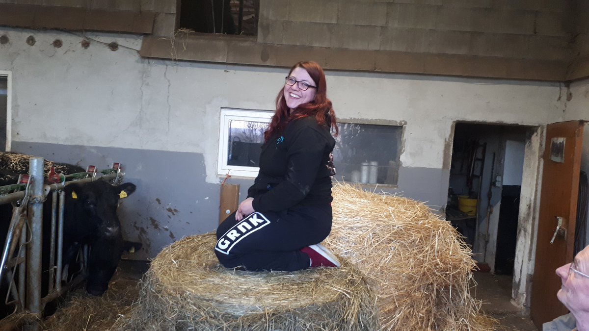 Tschohannah's tweet photo. Ich werde Bauer 😂
#gronkh #GRNK #Merch #FriendlyFire6 https://t.co/1Quk11H4wj