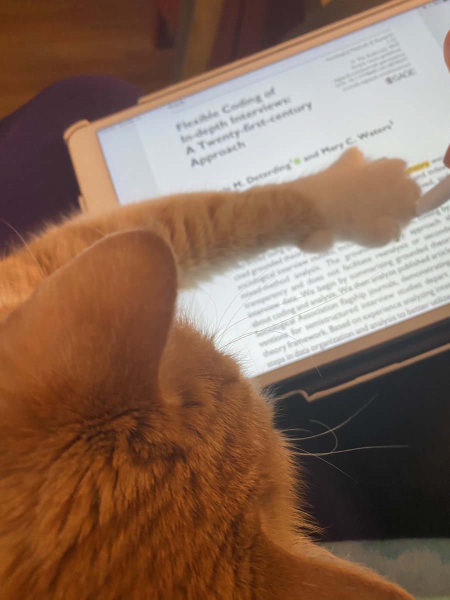 kprendella's tweet photo. Today is a reading day, but at least Flannery is here to help https://t.co/ipKbq0JHQj