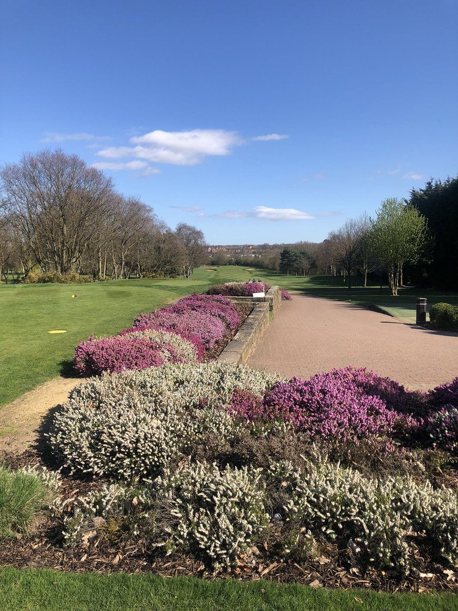 AaronHodkin's tweet photo. Just a steady 13 hours first day back.. 🤪🏌️‍♂️ #ItsGoodToBeBack! https://t.co/8Is5xchZtB