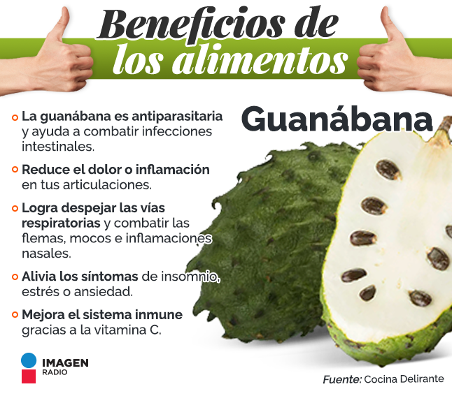 Imagen Radio on Twitter: "🟢La #Guanábana es una deliciosa fruta tropical  con múltiples beneficios para tu salud. https://t.co/nU7GdJFG06" / X