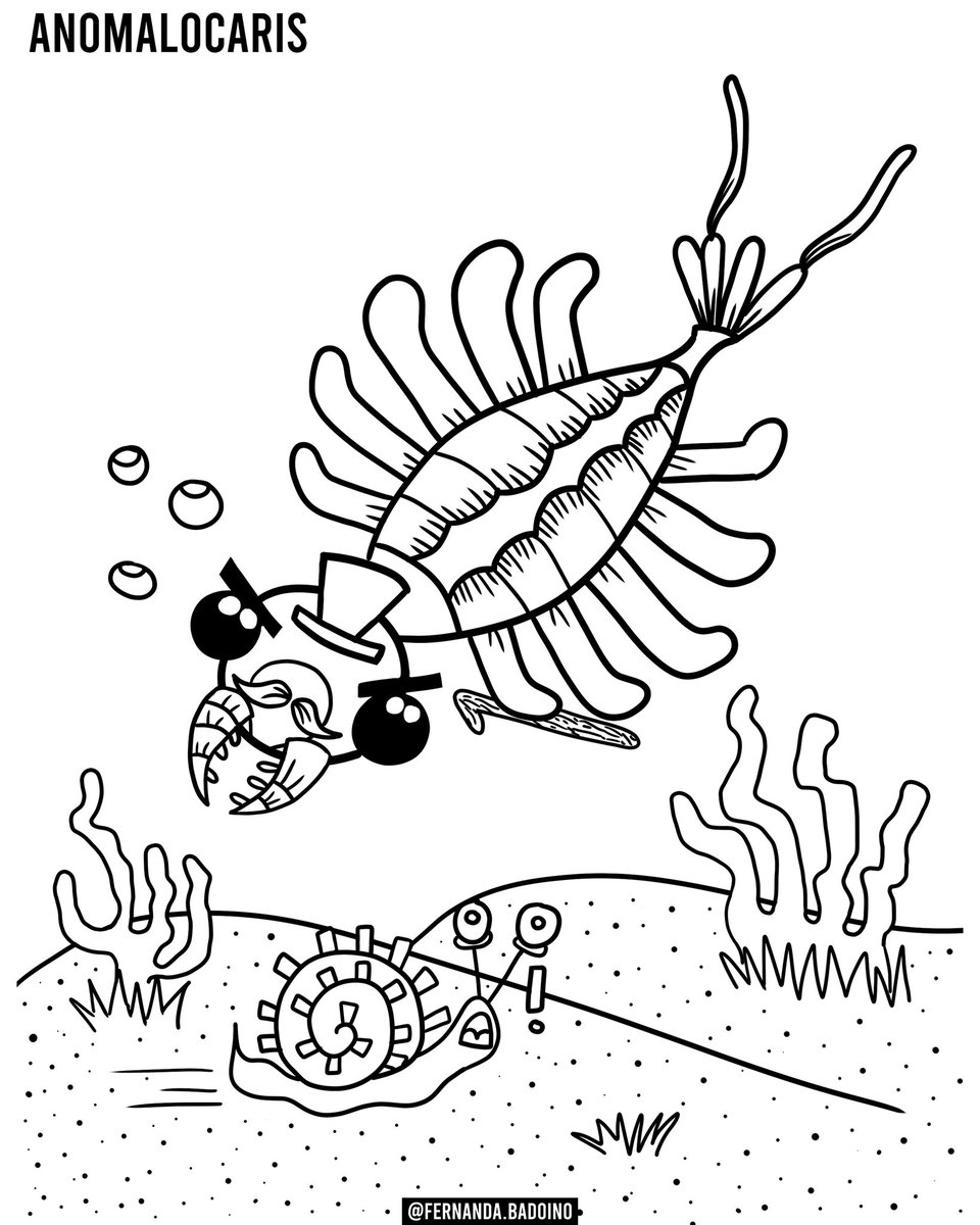 FernandaBadoino's tweet photo. Alguna vez este #anomalocaris estuvo en la cima de la cadena alimenticia de los océanos del período #cámbrico 👑🦀🖤🦐💦 Todo un #oceankiller pero con sombrero y bigote porque #feellikeasir 🎩✨
-
#prehistoricanimals #childrenillustration #animalesprehistóricos  #FernandaBadoino https://t.co/Y3DwxbyMw5