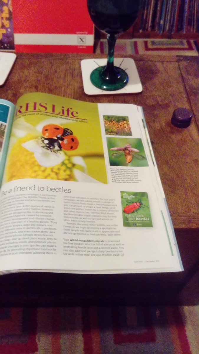 AndrewSalisbur2's tweet photo. It's @The_RHS April The Garden with predatory beetles, really pleased includes springtail eating Stenus spp. (thanks @DrDoox for proofing) & the launch of 2021 #wildaboutgardens #bringbackbeetles campaign https://t.co/bnsu4SdYsw @WildlifeTrusts & feature on the new 'office' https://t.co/qIU9r5wpxi