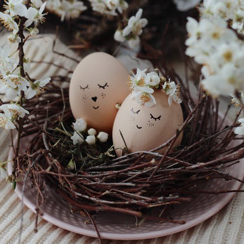 WCSHotels's tweet photo. Make a staycation out of Easter! Book our Easter Brunch Package; this INCLUDES a weekend getaway plus a reservation for 2 adults for the Easter Brunch... saves $40!
Made-to-order eggs, waffles, latkes, fruit, ham, deviled eggs, mimosas and more! All for Easter Sunday, 10a-3pm https://t.co/9dZRXVpXvQ